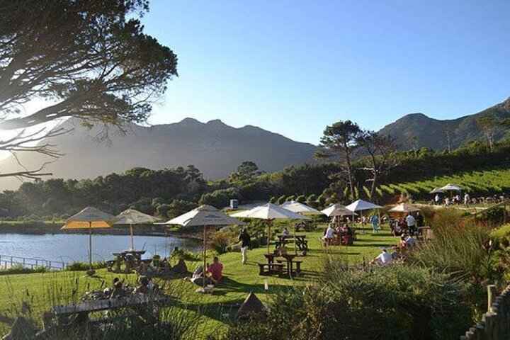 Relax and take in the views at Cape Point Vineyards with some sushi and vino